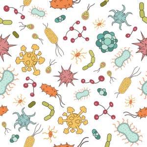 Darmflora - Mikrobiom